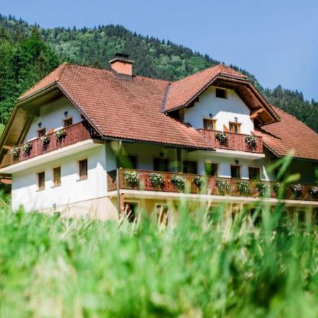 Na Logu - Farm Stay Ambroz Gregorc Solčava Zewnętrze zdjęcie