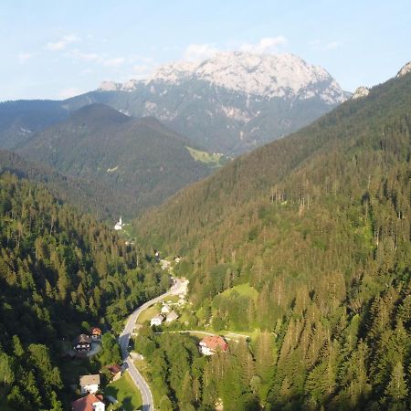 Na Logu - Farm Stay Ambroz Gregorc Solčava Zewnętrze zdjęcie