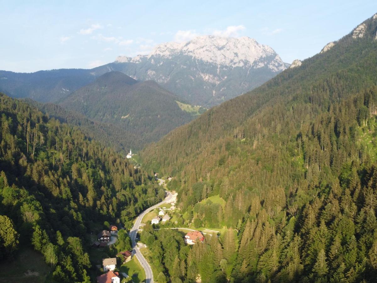 Na Logu - Farm Stay Ambroz Gregorc Solčava Zewnętrze zdjęcie