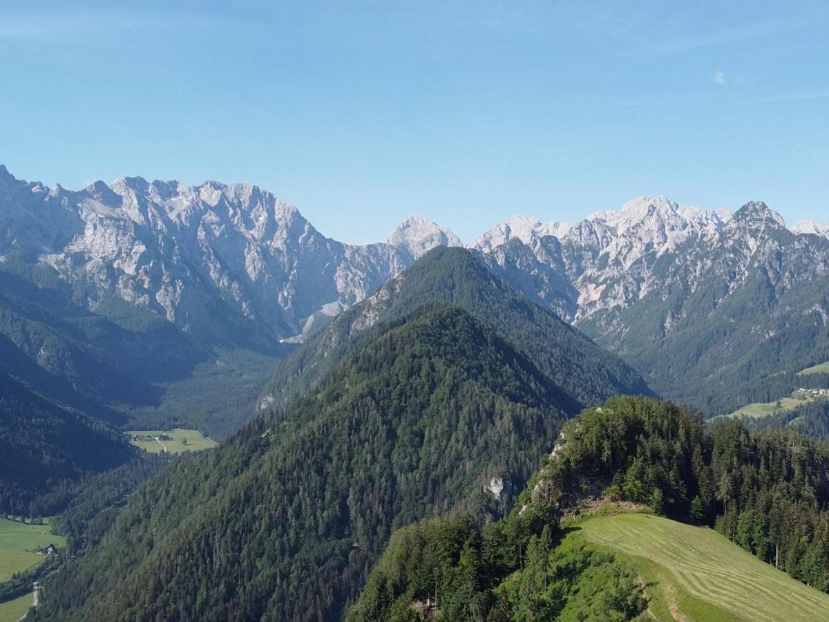 Na Logu - Farm Stay Ambroz Gregorc Solčava Zewnętrze zdjęcie