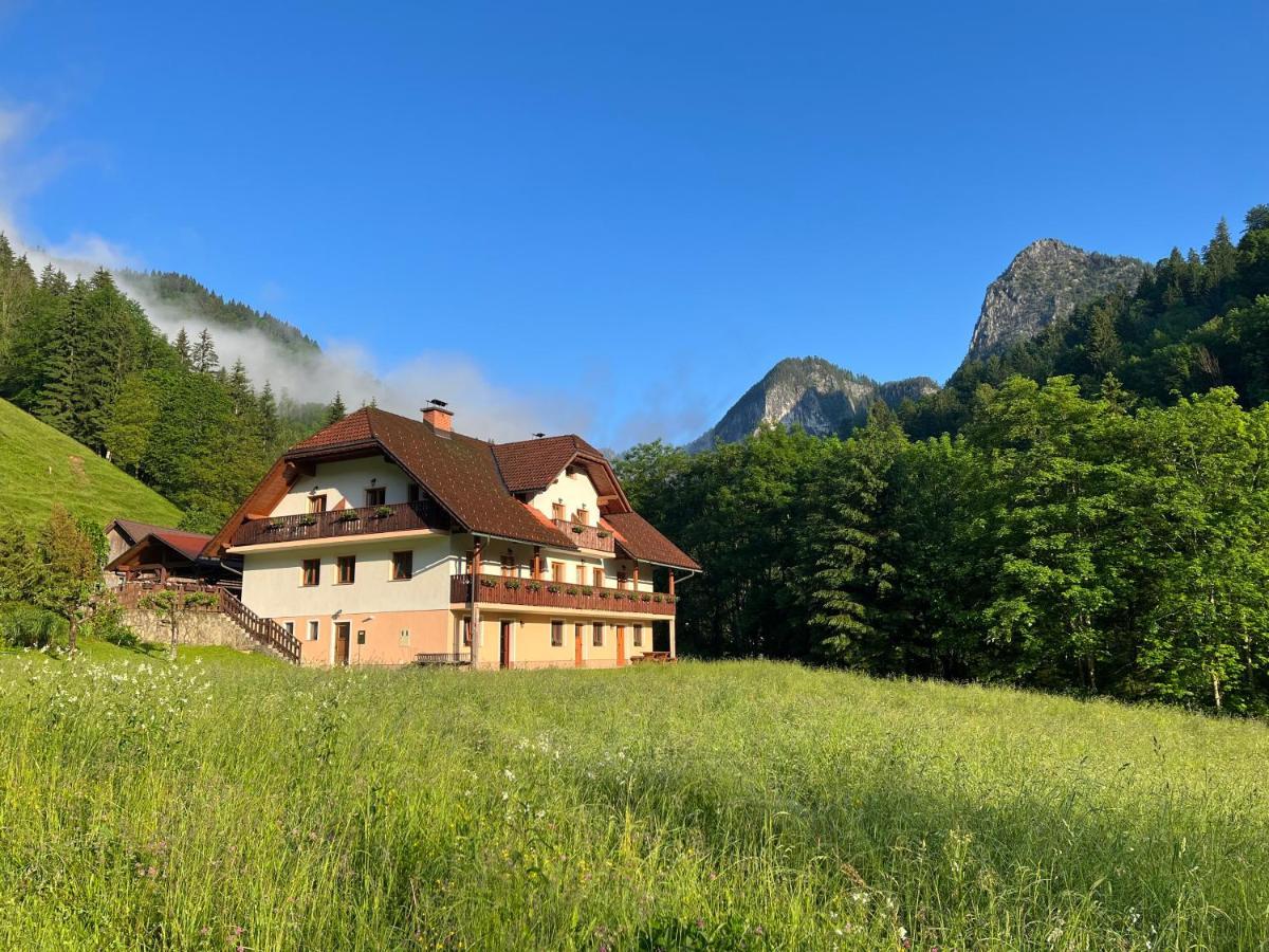 Na Logu - Farm Stay Ambroz Gregorc Solčava Zewnętrze zdjęcie