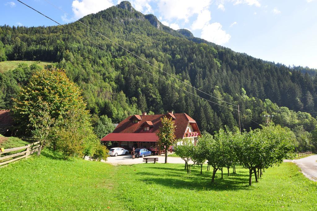 Na Logu - Farm Stay Ambroz Gregorc Solčava Zewnętrze zdjęcie