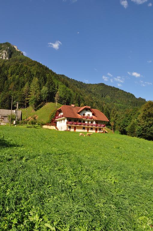 Na Logu - Farm Stay Ambroz Gregorc Solčava Zewnętrze zdjęcie