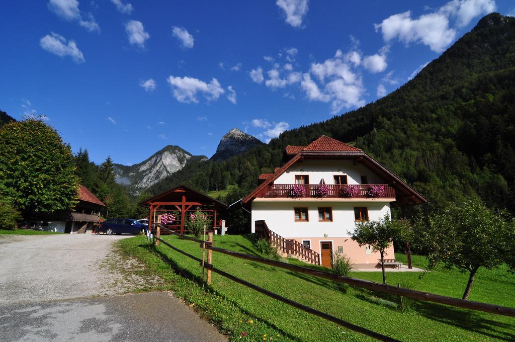 Na Logu - Farm Stay Ambroz Gregorc Solčava Zewnętrze zdjęcie